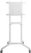 Neomounts NS-M1250WHITE Vorschaubild