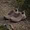 adidas Terrex Trailmaker 2.0 GTX earth strata/trace brown/chalky brown (Damen) Vorschaubild