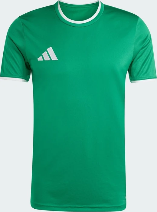 adidas Entrada 26 Trikot kurzarm team green/white (Herren)