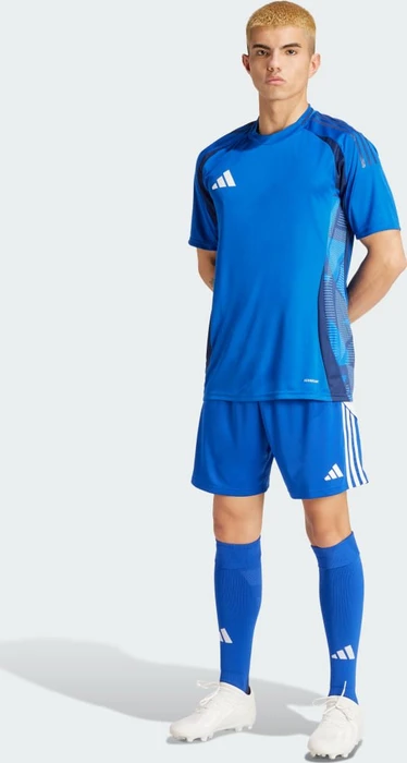 adidas Tiro 24 Shorts royal blue/white (Herren)