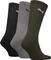 Puma Crew Socken green combo, 3 Paare (Herren) Vorschaubild