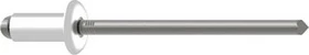 Gesipa Stahl/Stahl Flachrundkopf Blindniete 4x25mm, 500 Stück