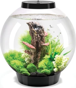 Oase biOrb Classic 30 LED Aquarium schwarz
