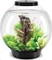 Oase biOrb Classic 30 LED Aquarium Vorschaubild