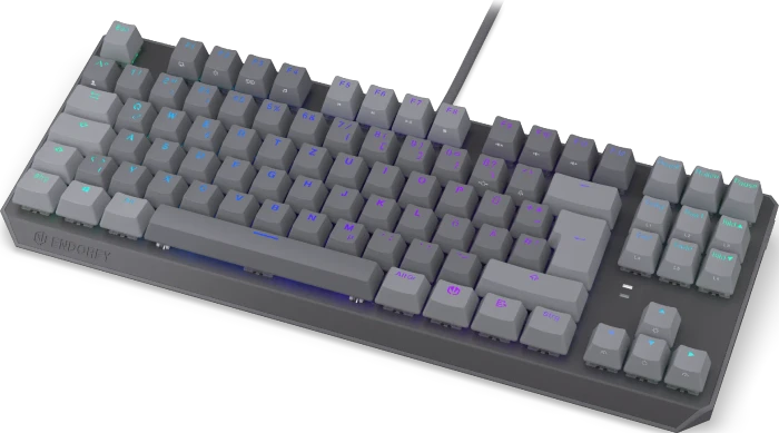 Endorfy Thock V2 TKL, PBT, grau, LEDs RGB, hot-swap, Endorfy RED, USB, DE