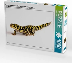 Calvendo Barren-Tigersalamander - Ambystoma mavortium