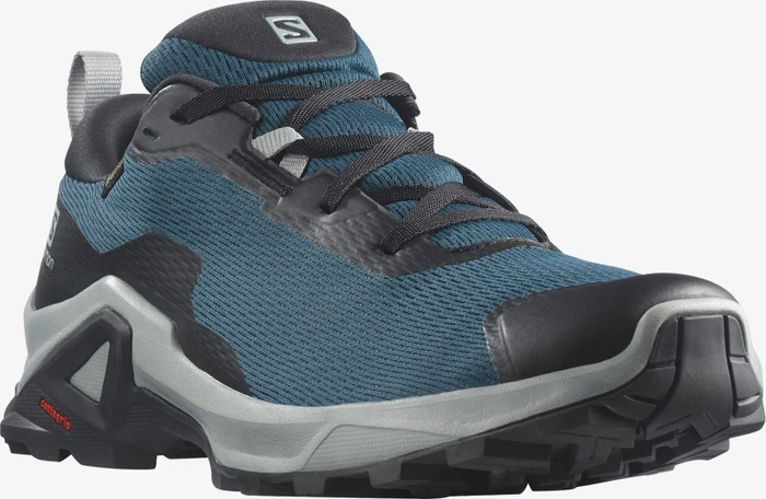 Salomon X Raise 2 GTX legion blue/black/quarry (Herren)