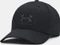 Under Armour Branding Kappe (Herren) Vorschaubild