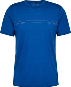 Patagonia Capilene Cool Merino Graphic Funktionsshirt kurzarm fitz roy fader/alpine blue (Herren)
