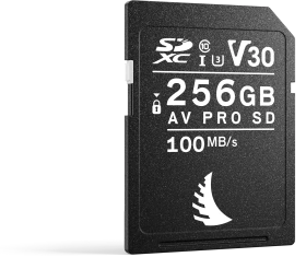 Angelbird AV PRO SD V30 R100/W52 256GB, UHS-I U3, Class 10
