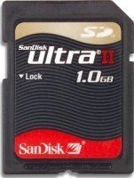 SanDisk 1GB