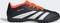 adidas Predator Club TF core black/cloud white/solar red Vorschaubild