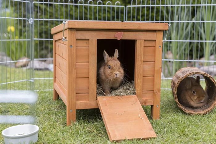 Trixie Kleintierhaus, braun, braun