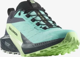 Salomon Sense Ride 5 GTX blue radiance/green ash/india ink (Damen)