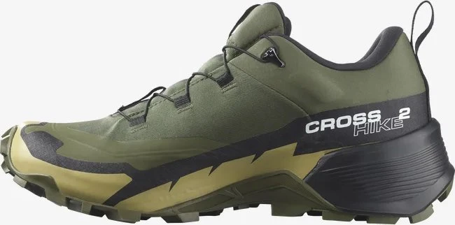 Salomon Cross Hike 2 GTX olive night/black/gray green (Herren)