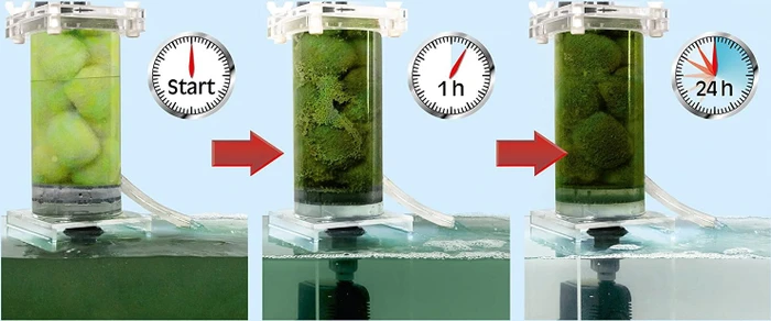 sera crystal clear, 350g