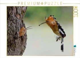 Calvendo Ein Motiv aus dem Kalender Wiedehopf