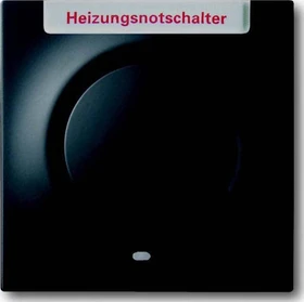 Busch-Jaeger Impuls Zentralscheibe mit Aufdruck Heizung, schwarz matt