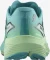 Salomon Aero Volt 2 peacock blue/spring bouquet/green ash (Herren) Vorschaubild