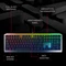 Cherry MV 3.0, LEDs RGB, grau/schwarz, Cherry VIOLA, USB, DE Vorschaubild