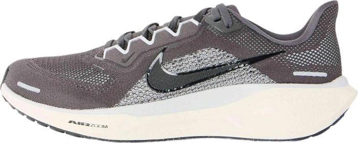Nike Pegasus 41 (Herren)