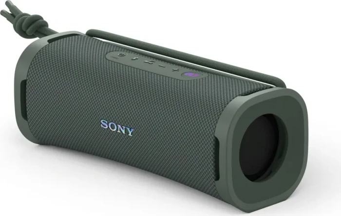 Sony ULT Field 1 grau