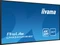 iiyama ProLite LH4341UHS-B2, 42.5" Vorschaubild