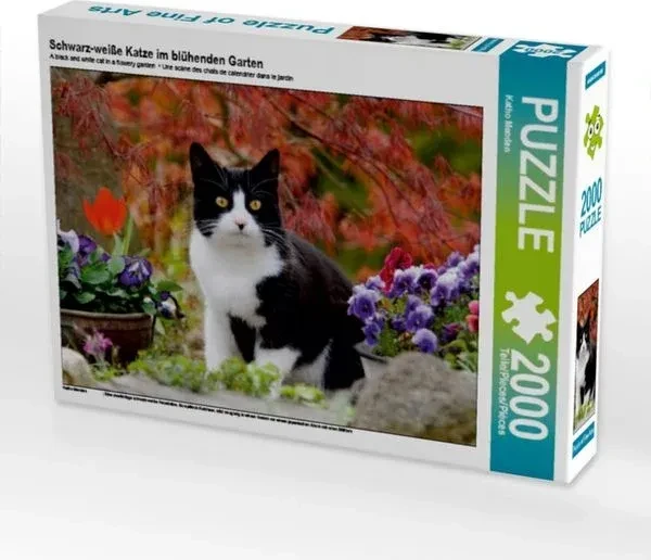 Calvendo Schwarz-weiße Katze im blühenden Garten