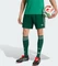 adidas FIFA WM 2026 Algerien Auswärtsshorts team dark green (Herren) Vorschaubild