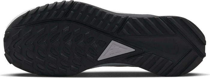 Nike React Pegasus Trail 4 Gore-Tex black/reflect silver/wolf grey (Damen)