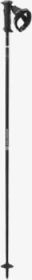 Salomon Polar Prime Carbon Ergo S3 Alpin Skistock (Modell 2024/2025)