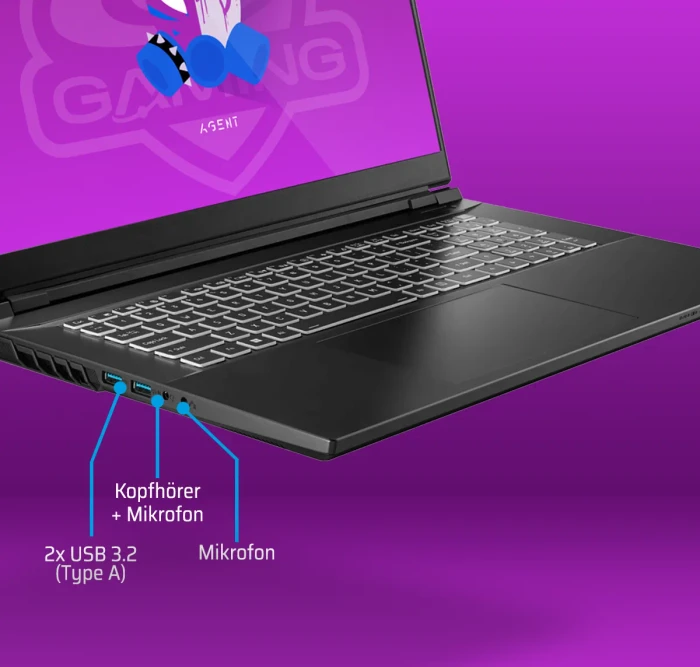 ONE GAMING Agent V73-14NB-RN2, Core i9-14900HX, 32GB RAM, 2TB SSD, GeForce RTX 4070, DE