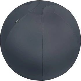 Leitz Ergo Cosy Active Sitzball 65cm, grau