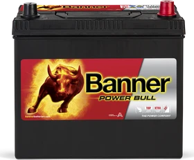 Banner Power Bull P4523