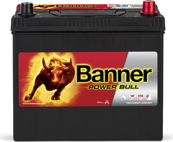 Banner Power Bull P4523
