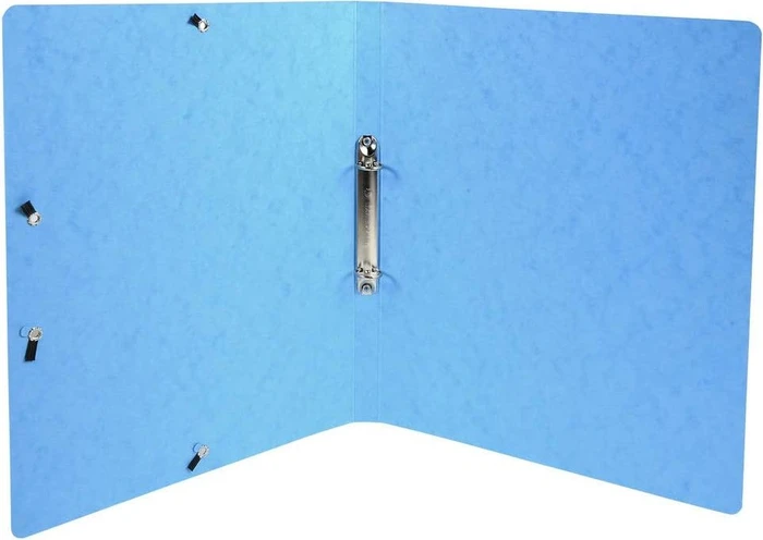Exacompta Iderama Ringbuch 2-Ring, 20mm, A4, farbig sortiert