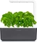 Click & Grow Smart Garden 3 Indoor Pflanzkasten Vorschaubild