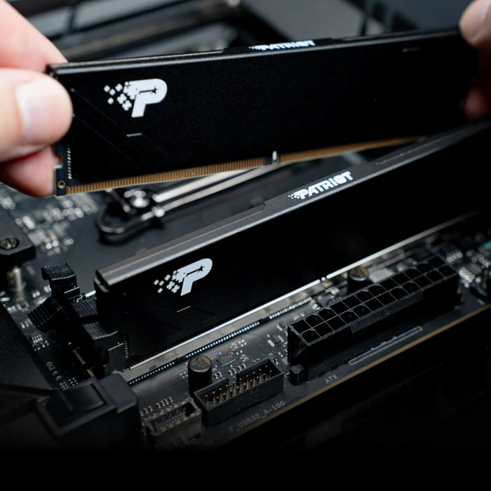 Patriot Signature Line Premium schwarz UDIMM 12GB, DDR5-5600, CL46-46-46-90