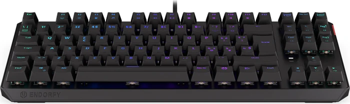 Endorfy Thock TKL, LEDs RGB, Kailh BROWN, USB, IT