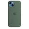 Apple Silikon Case mit MagSafe für iPhone 13 Eukalyptus Vorschaubild