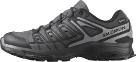 Salomon X Ultra 360 GTX grau/schwarz (Herren)