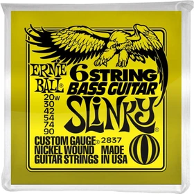 Ernie Ball Nickel Wound Bass Slinky 6-String