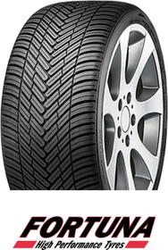 Fortuna Ecoplus 2 4S 205/50 R17 93W XL