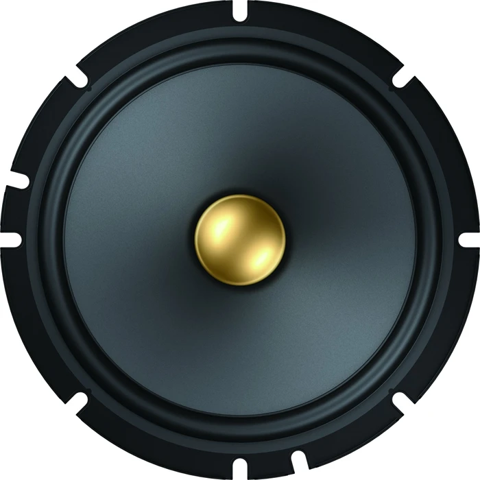 Pioneer TS-A1601C