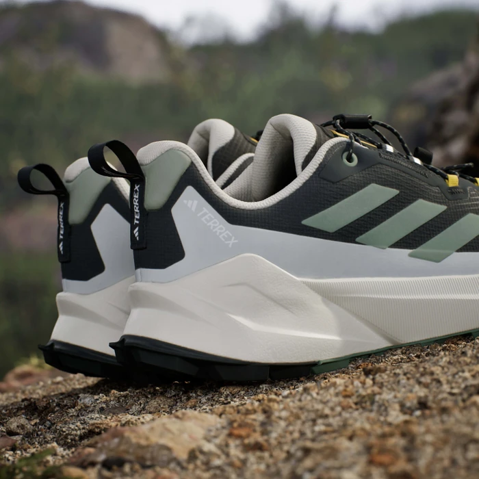 adidas National Geographic Terrex Trailmaker 2 GTX Speed Lace carbon/silver green/orbit grey (Herren)