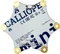 Calliope mini 2.0 Vorschaubild