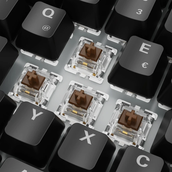 Sharkoon Skiller SGK50 S3, schwarz, LEDs RGB, hot-swap, Gateron BROWN, USB, DE