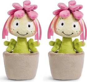 Nici Funny Flowers Pflanze Sedum Amalia 18cm