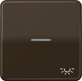 Jung Serie CD Wippe Duroplast mit Symbol "Licht" und Lichtleiter, braun