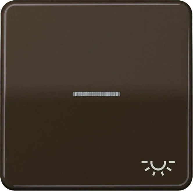 Jung Serie CD Wippe Duroplast mit Symbol "Licht" und Lichtleiter, braun